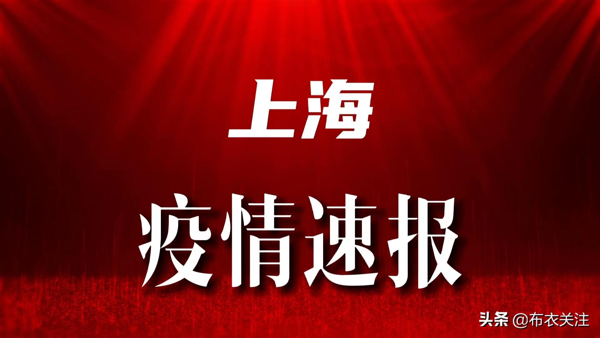 上海新增疫情最新通报，城市防疫工作的进展与挑战及应对挑战的最新动态