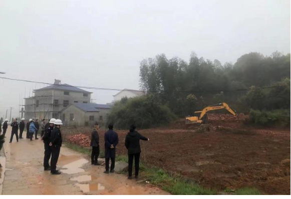 桃林村委会交通新闻更新，迈向现代化交通新篇章