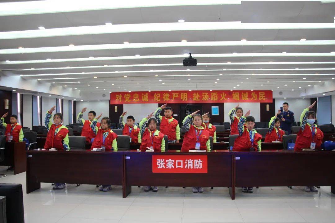 张家口市共青团市委最新招聘信息发布，职位空缺与申请指南