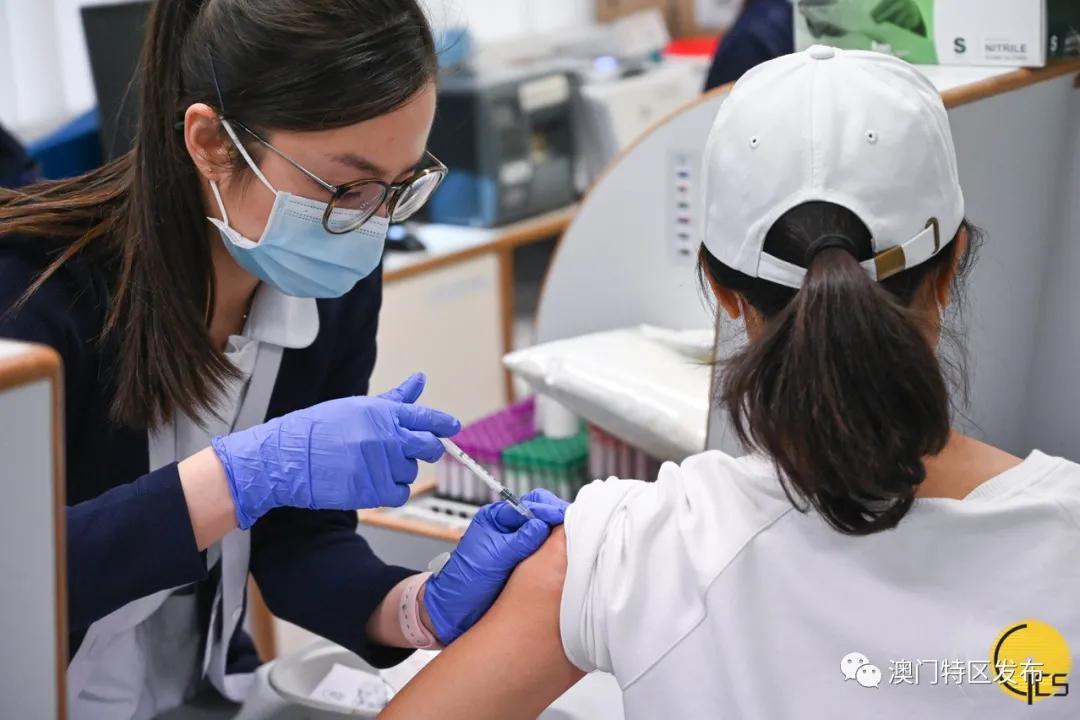 澳门病毒最新情况分析与概述