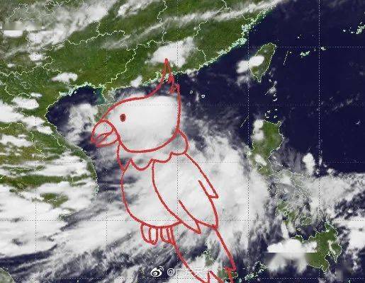 广东鹦鹉台风最新消息更新