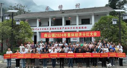 半阴坡村民委员会最新领导团队亮相，工作展望与领导成员一览表
