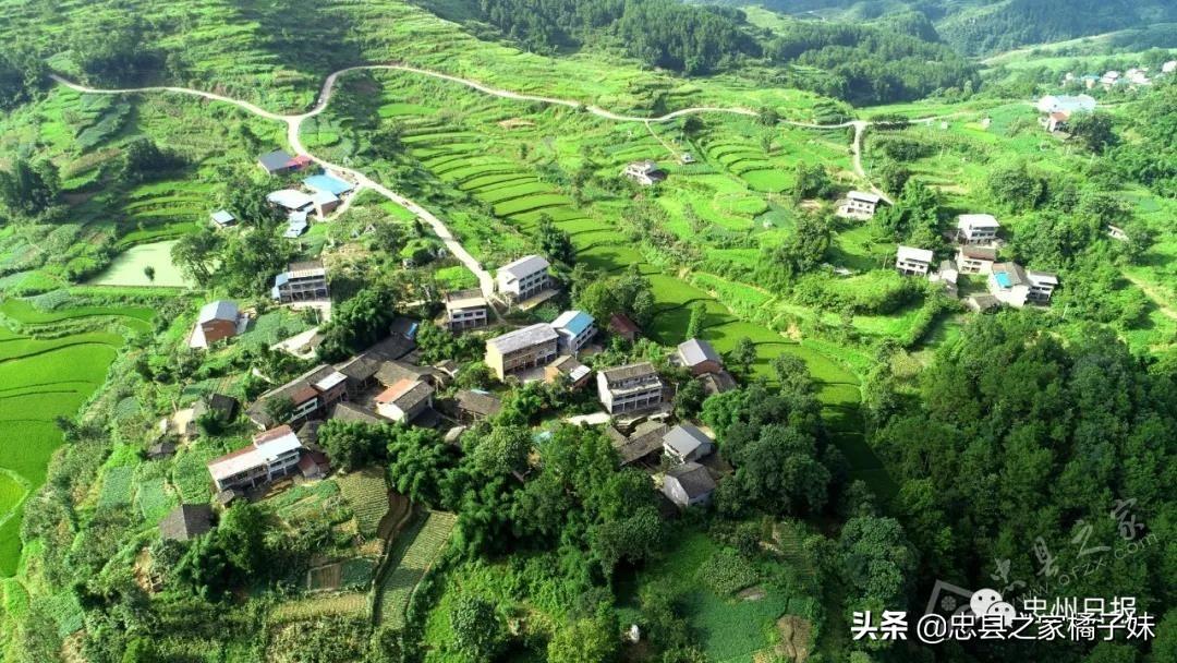 忠县卫生健康局最新招聘信息概览，岗位、要求及申请指南全解析