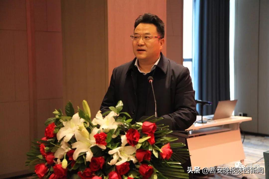 岐山县民政局发展规划，构建和谐社会，服务民生福祉新篇章