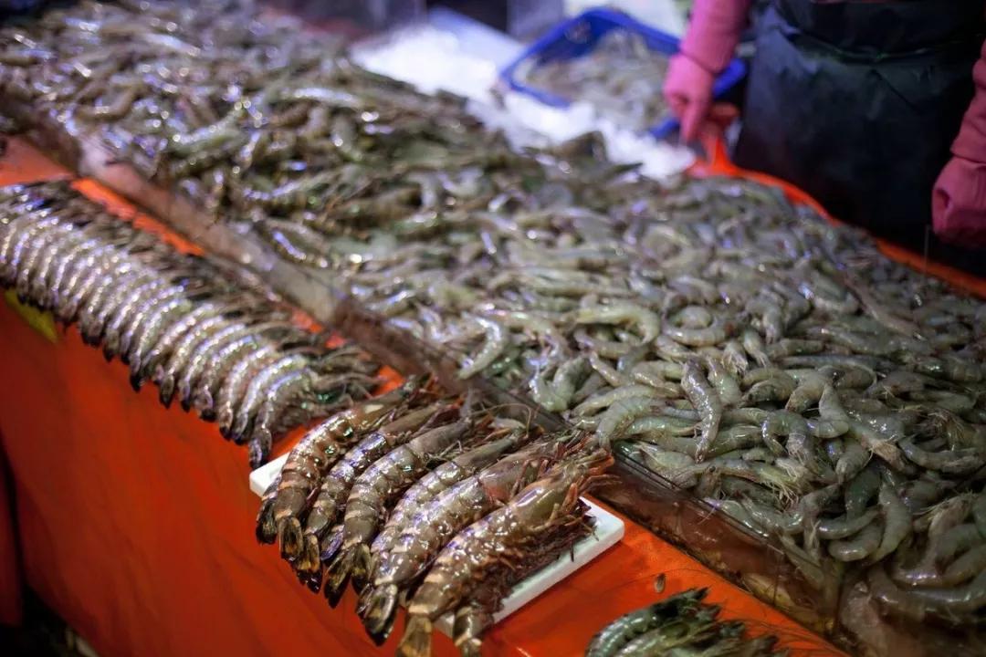 虾市场最新动态解析，探索虾类市场的最新趋势与分析