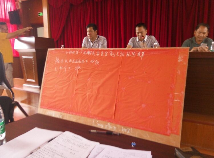 八郎村民委员会最新领导团队及未来工作展望