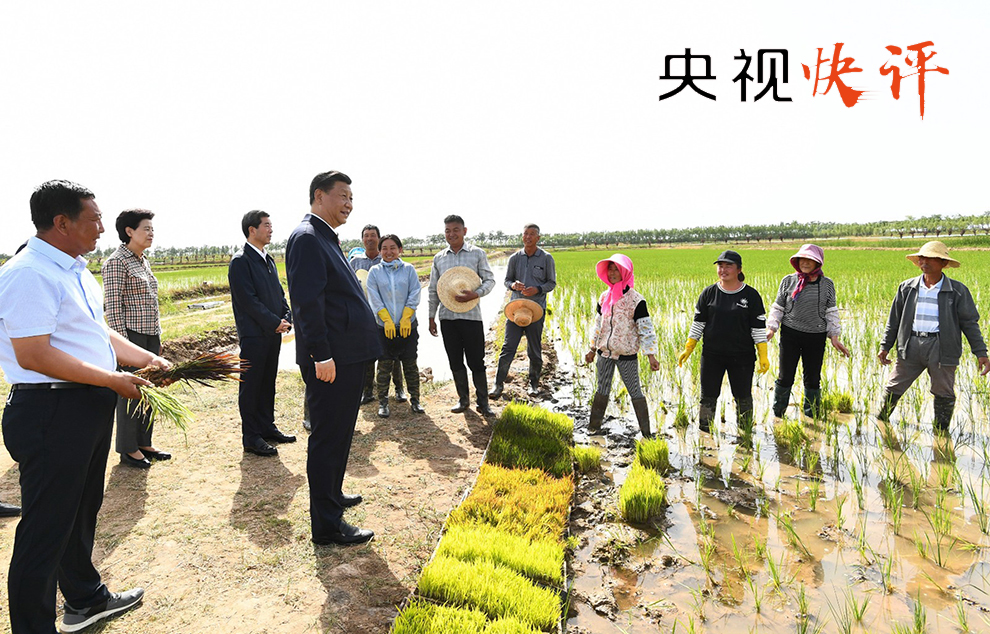 沙塄村民委员会最新动态报道
